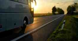 Greyhound