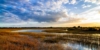 Everglades