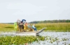 Der Everglades Nationalpark