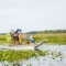 Der Everglades Nationalpark